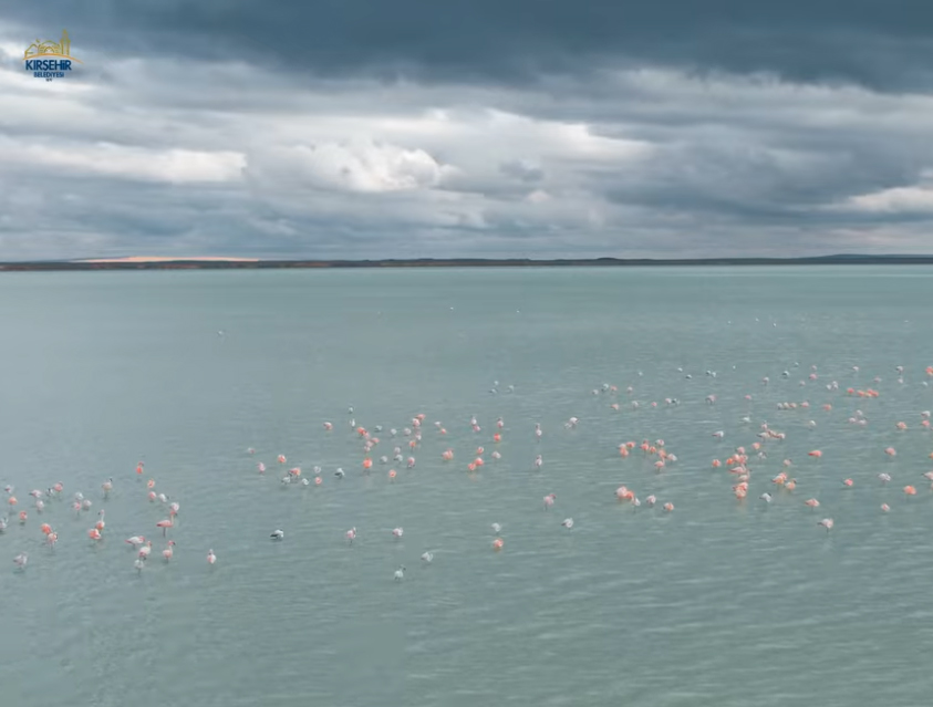 Yerin Üstü ALTINdan Daha Değerlidir